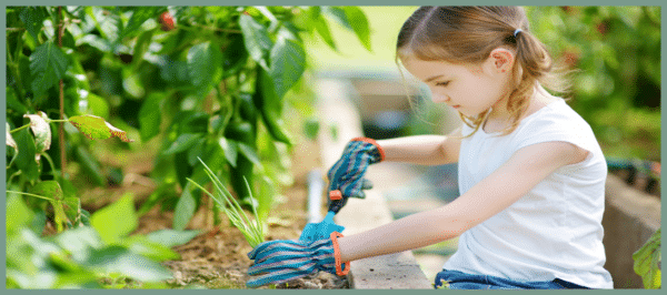 Cultivate Confidence: Toddler Gloves for Young Gardeners